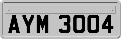 AYM3004