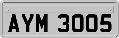 AYM3005