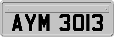 AYM3013
