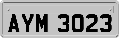 AYM3023