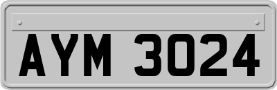 AYM3024