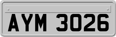 AYM3026