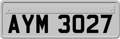 AYM3027