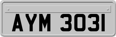 AYM3031