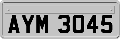 AYM3045