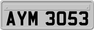 AYM3053
