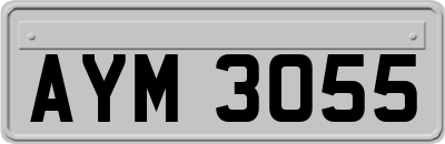 AYM3055
