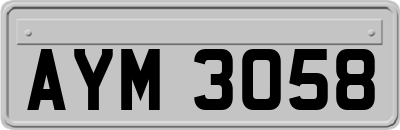 AYM3058