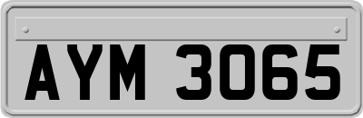 AYM3065
