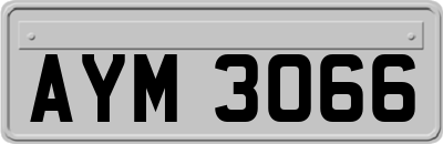 AYM3066