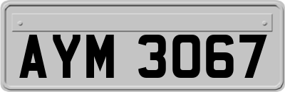 AYM3067