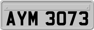 AYM3073