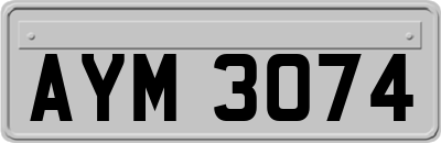 AYM3074