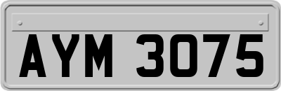 AYM3075