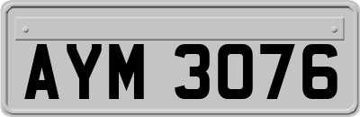 AYM3076