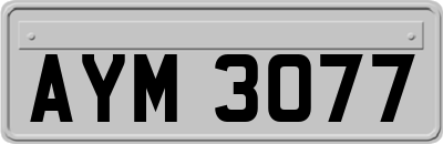 AYM3077
