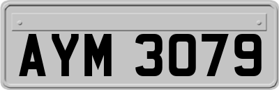AYM3079