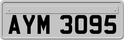 AYM3095