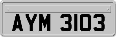 AYM3103