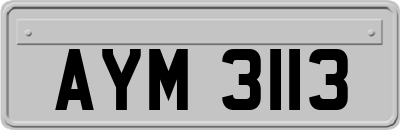 AYM3113