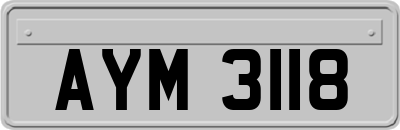 AYM3118