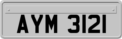AYM3121