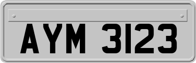 AYM3123