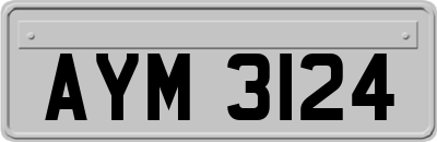 AYM3124