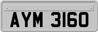 AYM3160