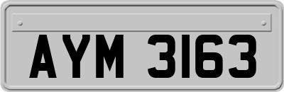 AYM3163