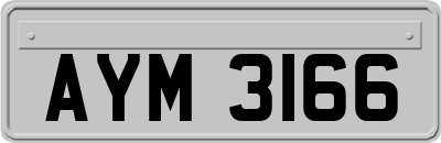 AYM3166