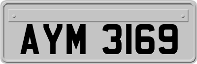 AYM3169