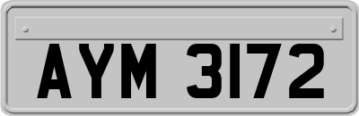 AYM3172