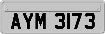 AYM3173