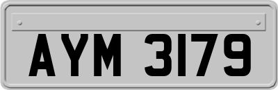 AYM3179