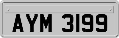 AYM3199