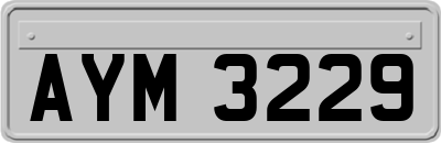 AYM3229