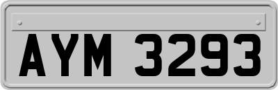 AYM3293