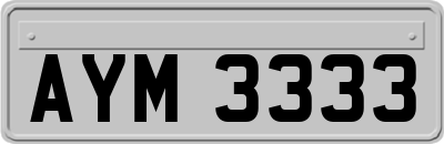 AYM3333