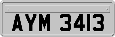 AYM3413