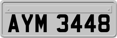 AYM3448