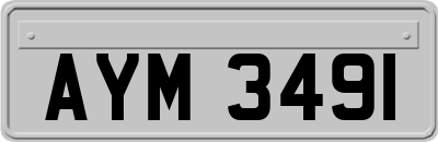 AYM3491