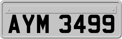 AYM3499