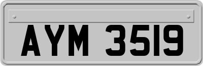 AYM3519