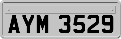 AYM3529