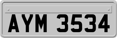 AYM3534