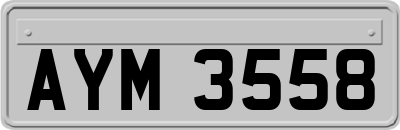 AYM3558