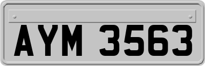 AYM3563