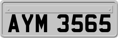 AYM3565