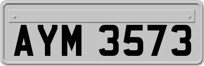 AYM3573